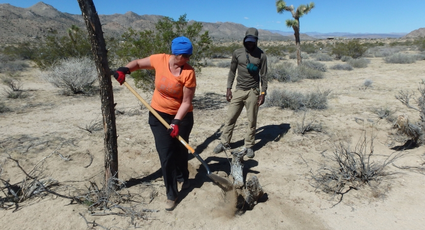One person uses a shovel while another watches during a service project. 